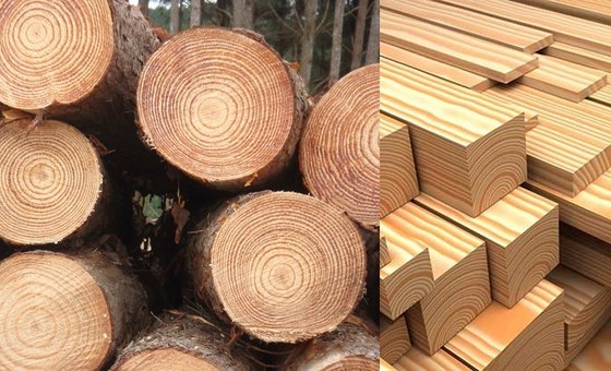Madera Pinus Radiata